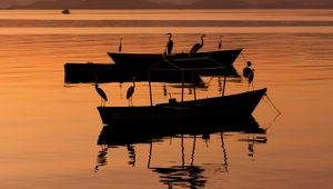 Preview wallpaper boats, cranes, silhouettes, twilight, water