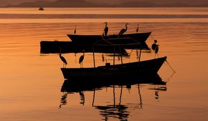 Preview wallpaper boats, cranes, silhouettes, twilight, water