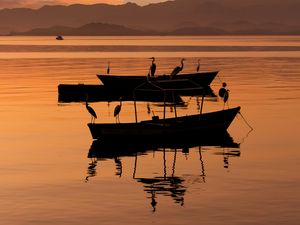 Preview wallpaper boats, cranes, silhouettes, twilight, water