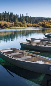 Preview wallpaper boats, lake, forest, trees