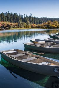 Preview wallpaper boats, lake, forest, trees