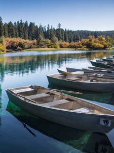 Preview wallpaper boats, lake, forest, trees