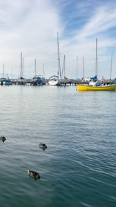 Preview wallpaper boats, masts, sea, ducks