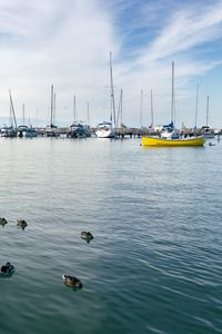 Preview wallpaper boats, masts, sea, ducks