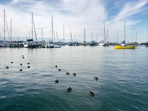 Preview wallpaper boats, masts, sea, ducks