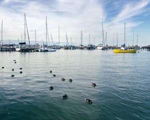 Preview wallpaper boats, masts, sea, ducks