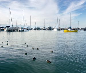 Preview wallpaper boats, masts, sea, ducks