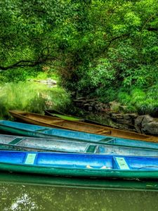 Preview wallpaper boats, multi-coloured, coast, greens, trees, stones