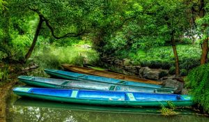 Preview wallpaper boats, multi-coloured, coast, greens, trees, stones