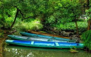 Preview wallpaper boats, multi-coloured, coast, greens, trees, stones