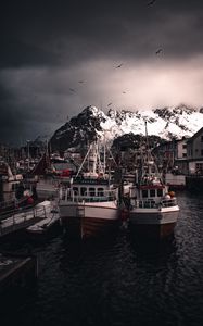 Preview wallpaper boats, pier, mountains, birds, snow covered