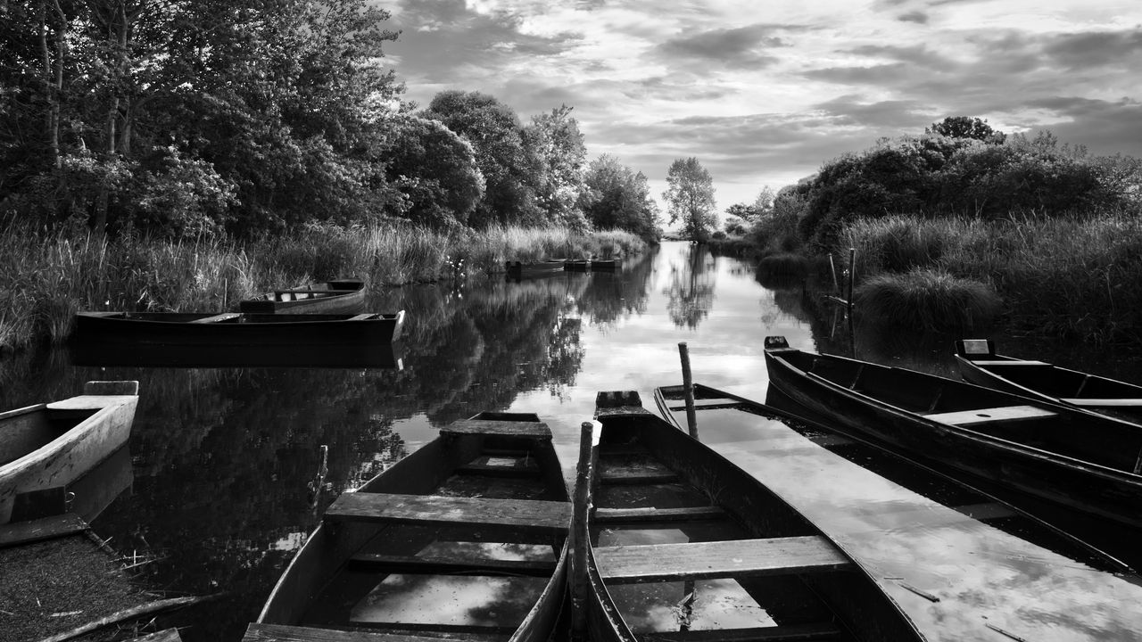 Wallpaper boats, pond, trees, bw