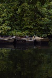 Preview wallpaper boats, river, trees, nature
