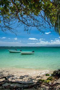 Preview wallpaper boats, sea, branches, beach, sand