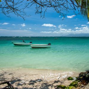 Preview wallpaper boats, sea, branches, beach, sand