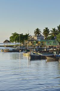 Preview wallpaper boats, sea, palm trees, nature