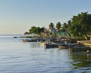 Preview wallpaper boats, sea, palm trees, nature