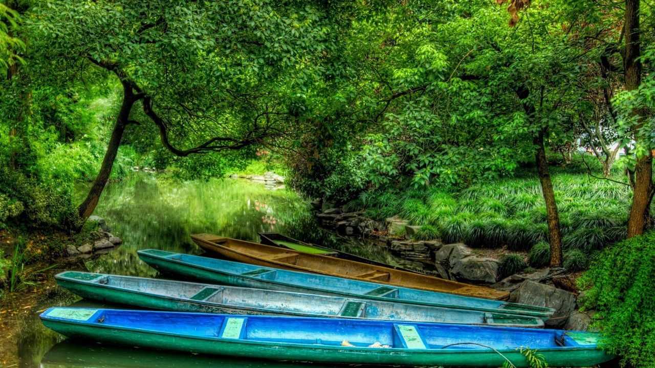 Wallpaper boats, wood, lake, vegetation