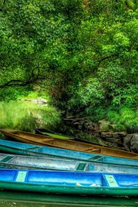 Preview wallpaper boats, wood, lake, vegetation