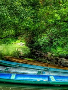 Preview wallpaper boats, wood, lake, vegetation