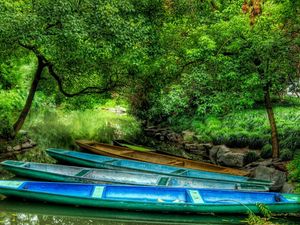 Preview wallpaper boats, wood, lake, vegetation