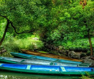 Preview wallpaper boats, wood, lake, vegetation