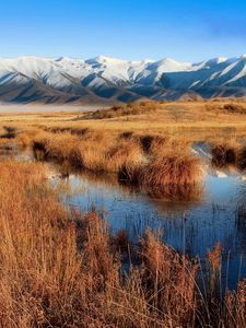 Preview wallpaper bog, mountains, grass, autumn, water