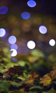 Preview wallpaper bokeh, leaves, lights, fallen leaves