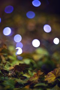 Preview wallpaper bokeh, leaves, lights, fallen leaves