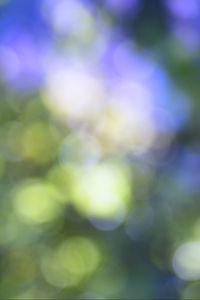 Preview wallpaper bokeh, nature, light