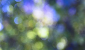 Preview wallpaper bokeh, nature, light