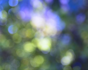 Preview wallpaper bokeh, nature, light