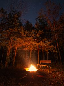 Preview wallpaper bonfire, bench, forest, night