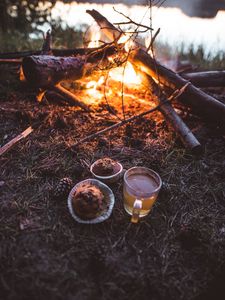 Preview wallpaper bonfire, cup, cupcakes, tea, nature