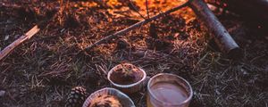 Preview wallpaper bonfire, cup, cupcakes, tea, nature