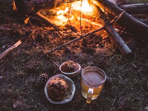 Preview wallpaper bonfire, cup, cupcakes, tea, nature