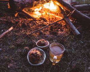 Preview wallpaper bonfire, cup, cupcakes, tea, nature