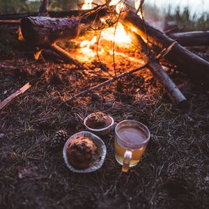 Preview wallpaper bonfire, cup, cupcakes, tea, nature