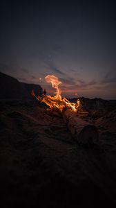 Preview wallpaper bonfire, fire, beach, dusk, dark