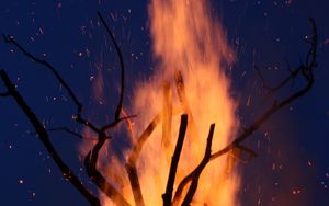 Preview wallpaper bonfire, fire, branches, sparks