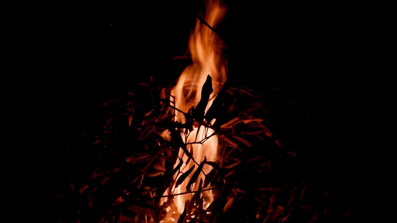 Wallpaper bonfire, fire, branches, darkness