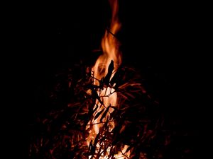 Preview wallpaper bonfire, fire, branches, darkness