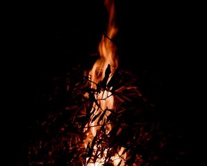 Preview wallpaper bonfire, fire, branches, darkness