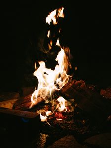 Preview wallpaper bonfire, fire, burn, night, dark