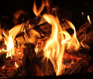 Preview wallpaper bonfire, fire, firewood, coals, flame