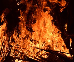 Preview wallpaper bonfire, fire, flame, brushwood