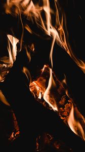 Preview wallpaper bonfire, fire, flame