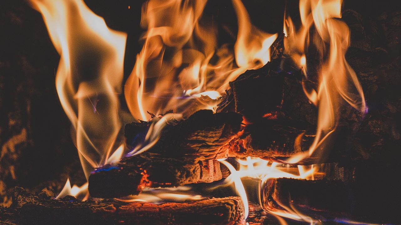 Wallpaper bonfire, fire, flame, firewood, ash, coal, camping, dark