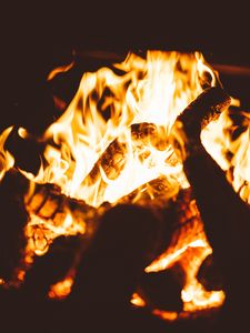 Preview wallpaper bonfire, fire, flame, firewood, dark, blur