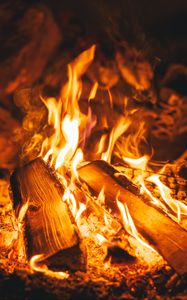 Preview wallpaper bonfire, fire, flame, burn, firewood, embers